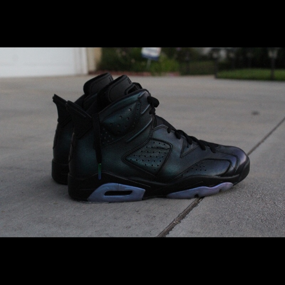 Jordan 6 All Star/Chameleon